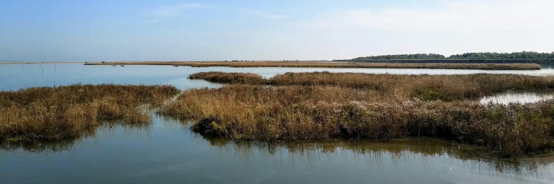 Secret Sandbanks
