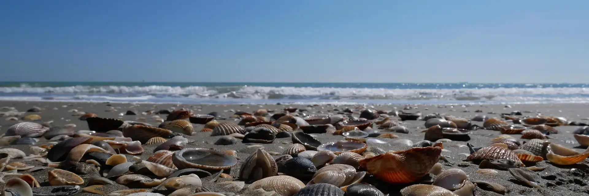 Water and Sand