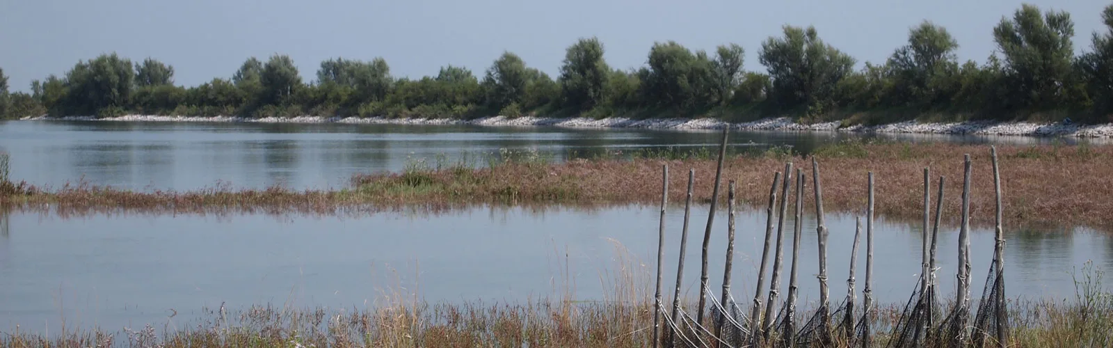 Fishing in Venice